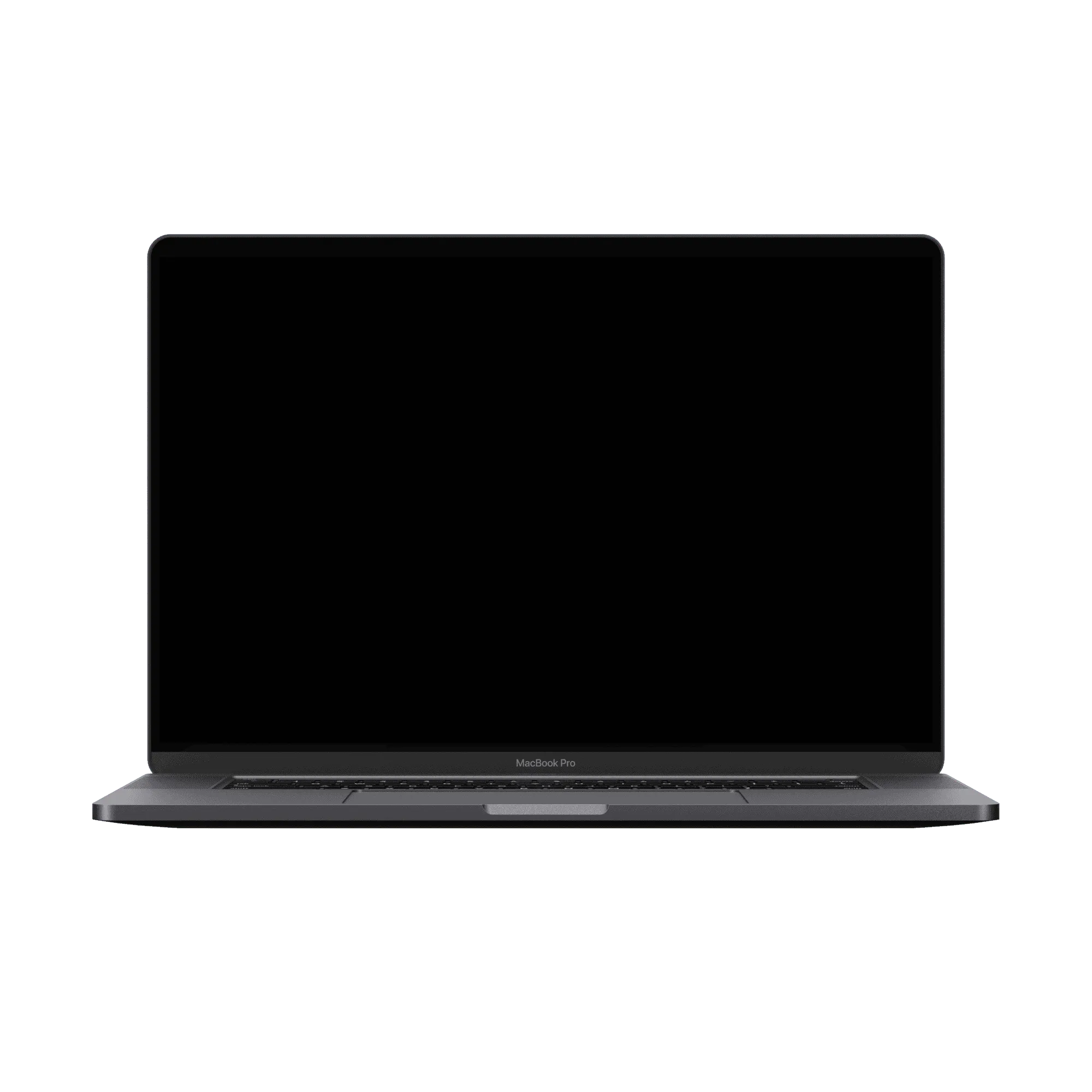 Leio running on a laptop